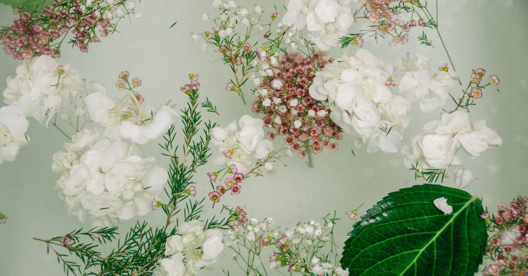 Ayurvedic Rituals to Stay Cool and Balanced This Summer