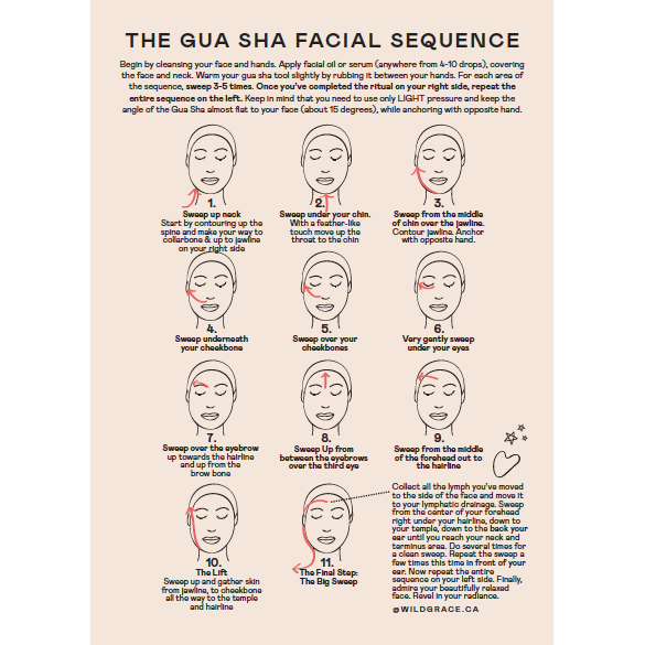 How to use a gua sha Wild Grace