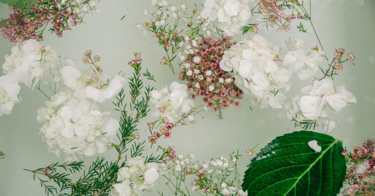 Ayurvedic Rituals to Stay Cool and Balanced This Summer